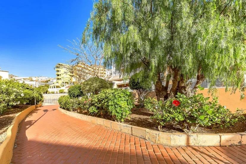 Tenerifeopenhome Costa Adeje Comfort Apartment 3 Pools Экстерьер фото